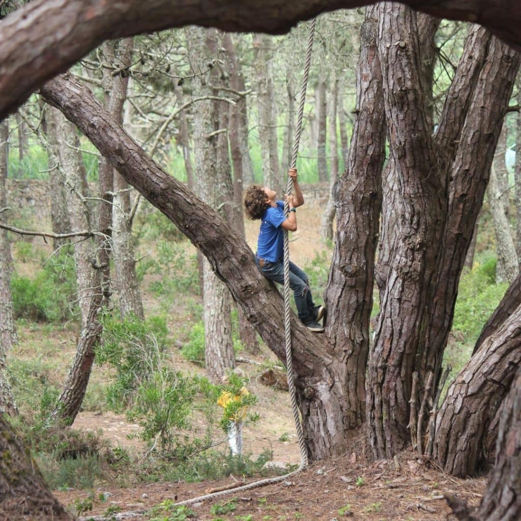 Movimento Bloom – Férias da Páscoa na Floresta