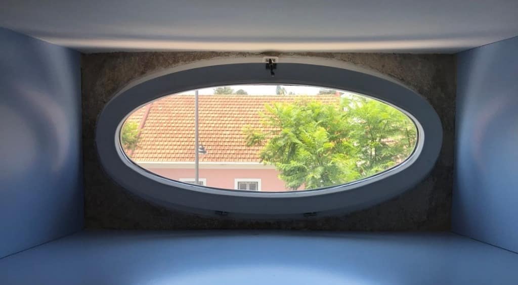 Participação «A Grande Exposição de Árvores de Natal»