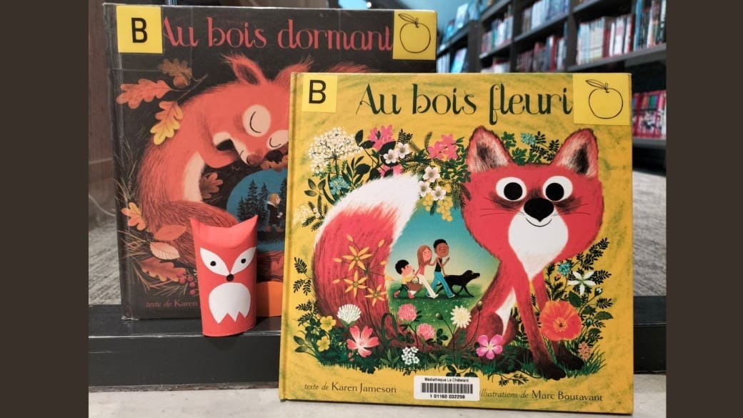 Contes des forĂŞts et des renards
