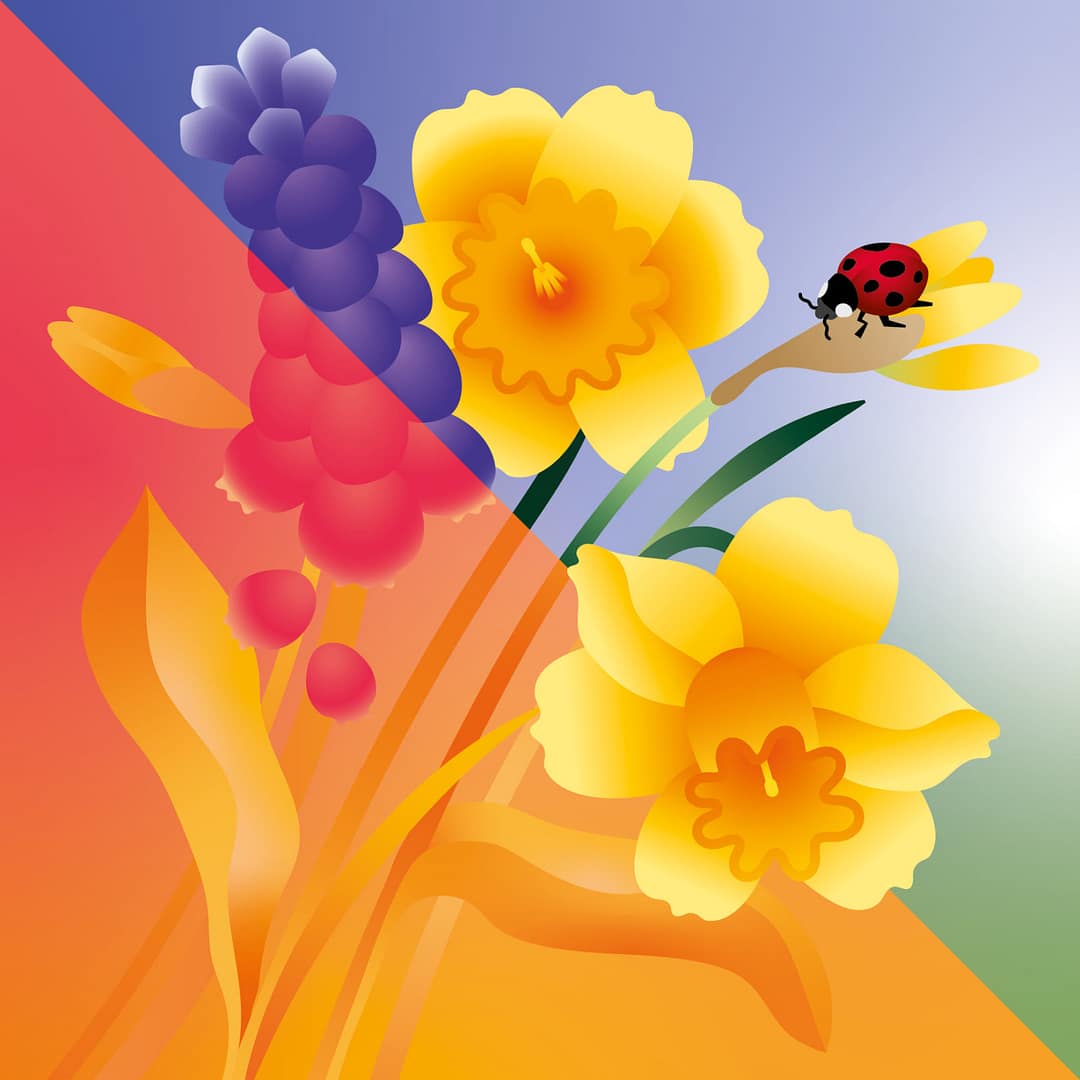 Bourgeons en fĂŞte 2025