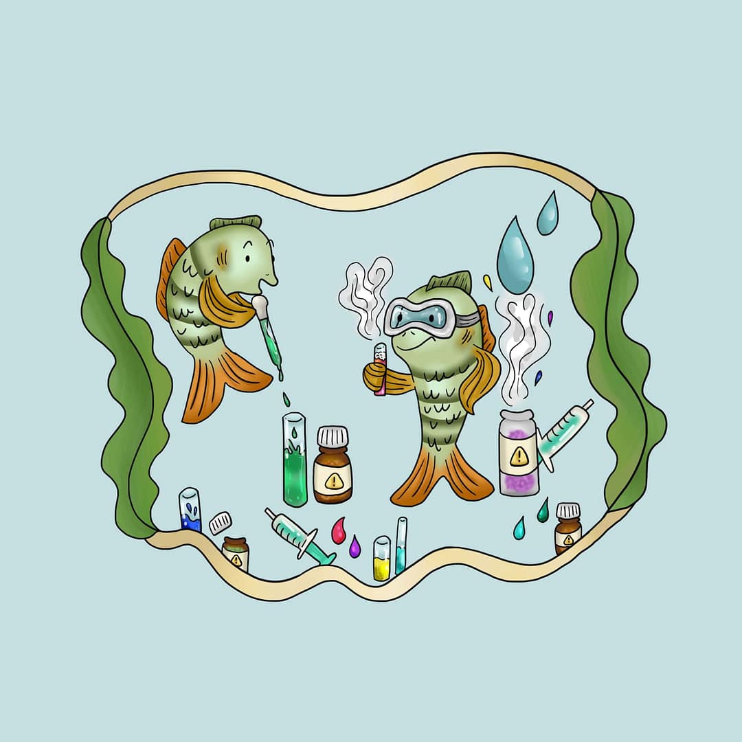 Les coulisses des aquariums – Chimiste en herbe