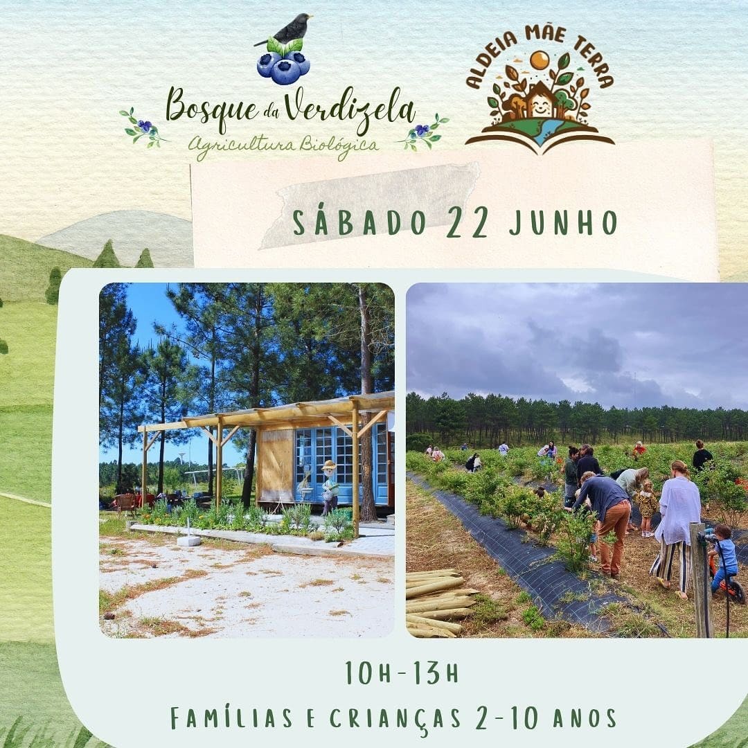 Bosque da Verdizela – Playgroup Manhã no Bosque
