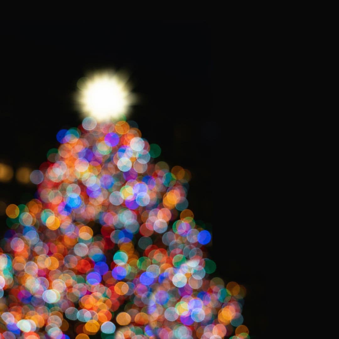 Concerto de Natal EPM – Orquestra Clássica Metropolitana + Orquestra de Sopros da Metropolitana