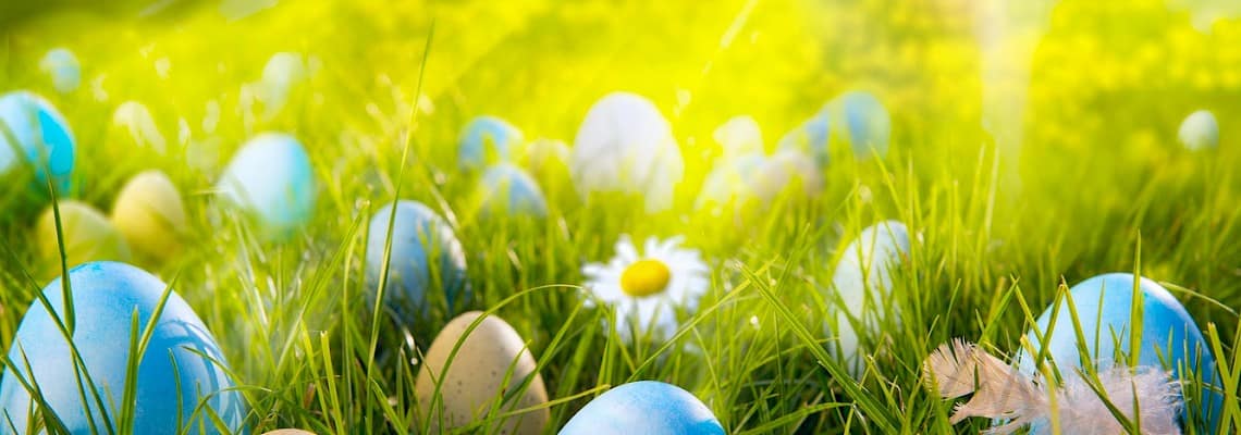 Em busca dos ovos de Páscoa em Monsanto