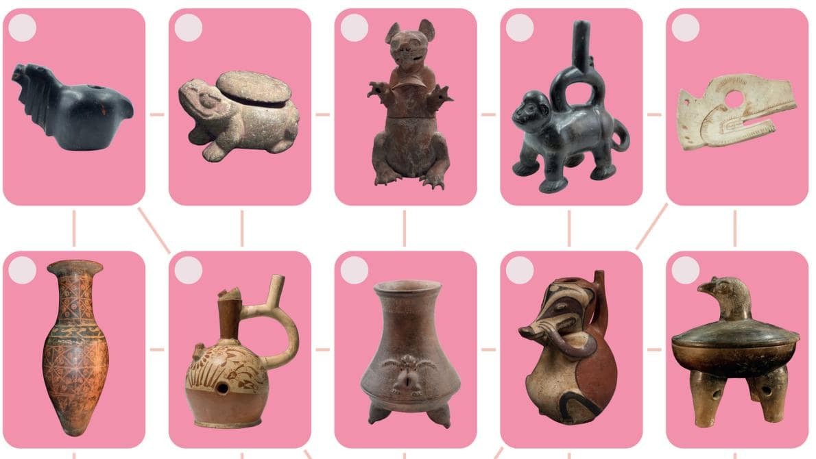 Bingo! – À la découverte des animaux d’Amérique