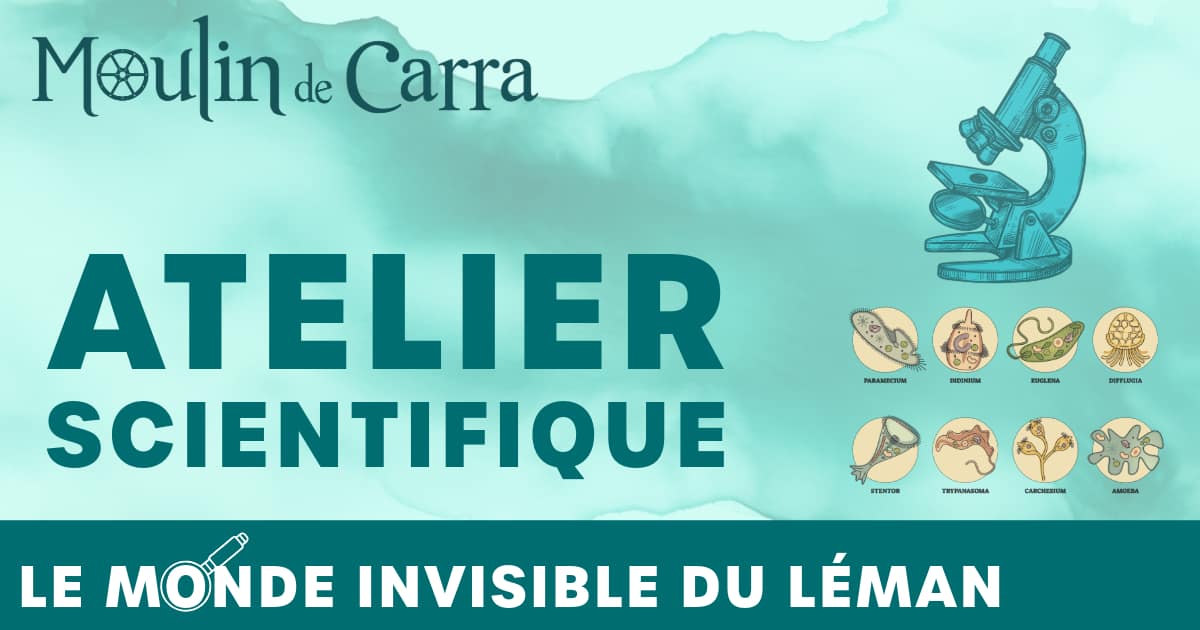 Atelier scientifique – Le monde invisible du Léman