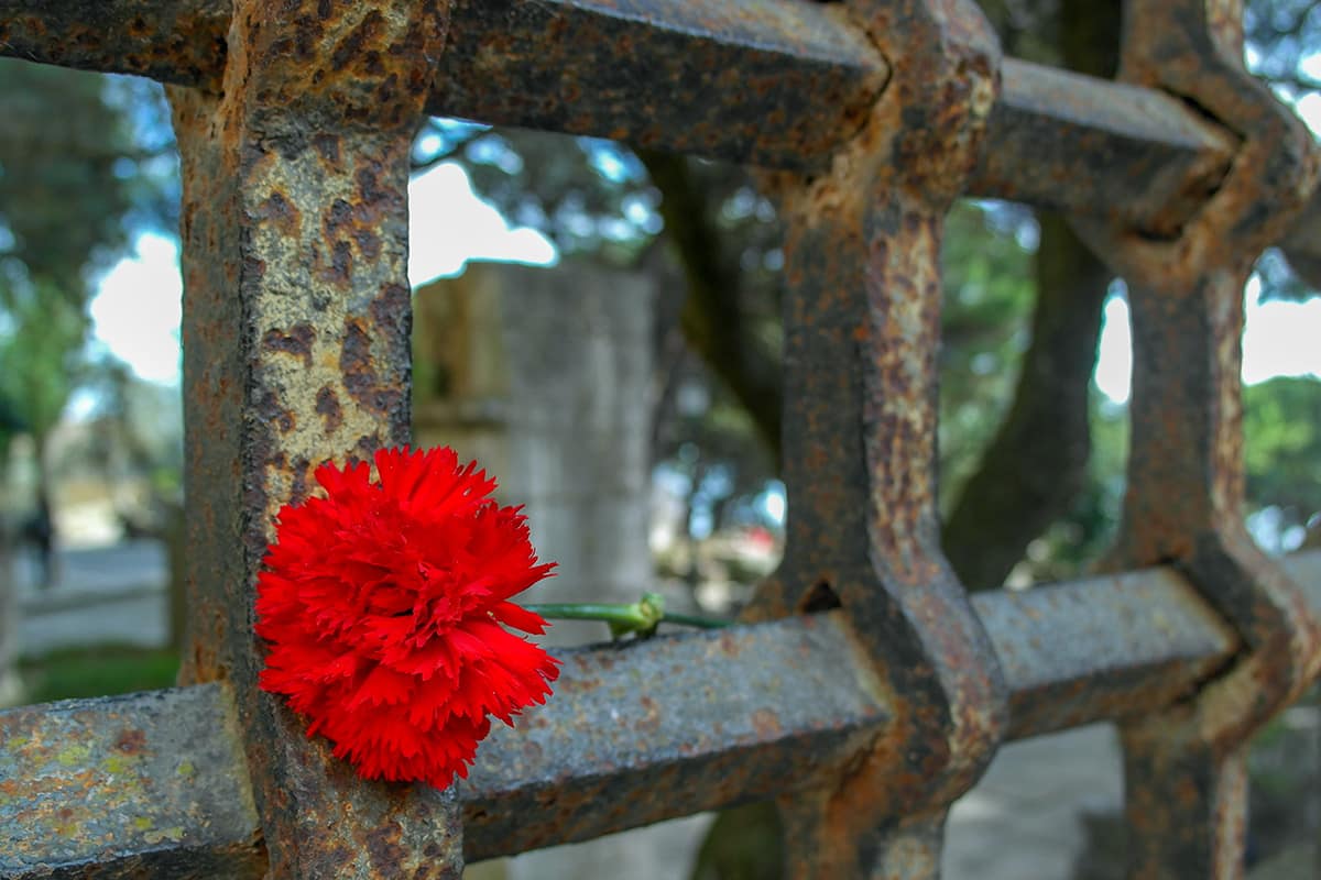 Fazer do Castelo abril