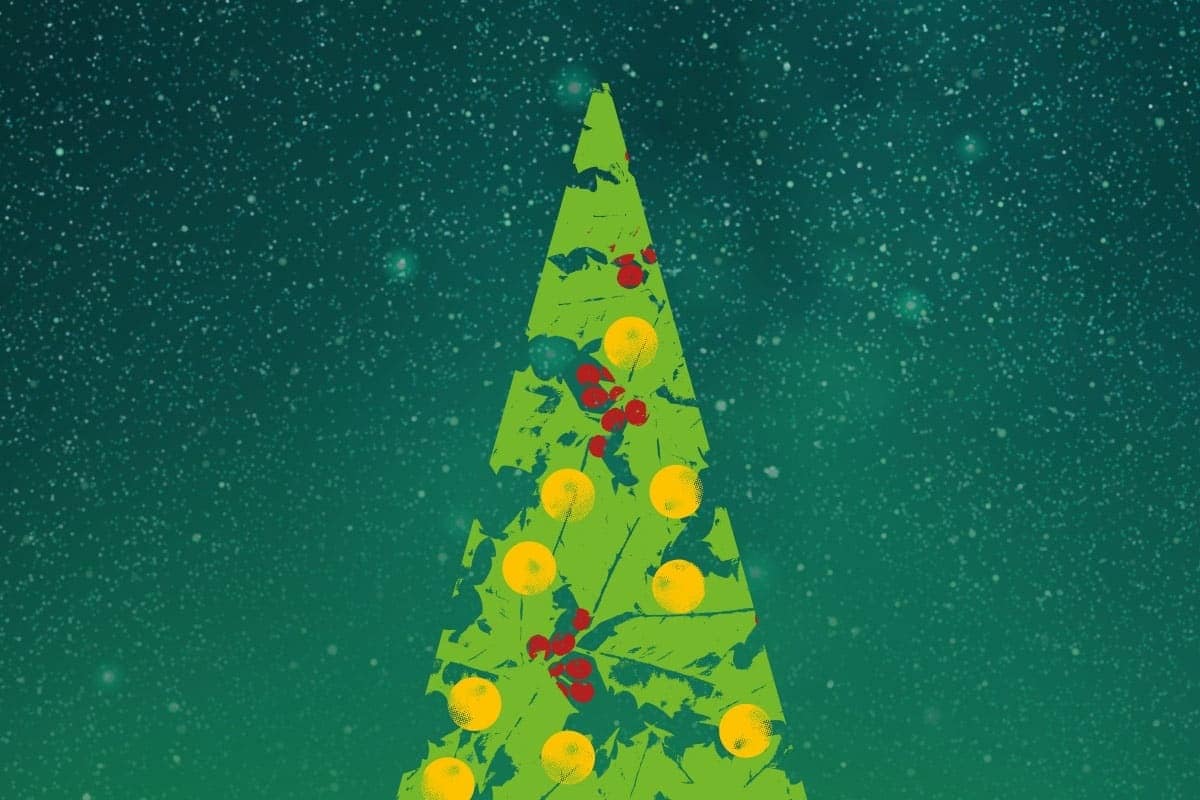 Inauguração das iluminações de Natal em Lisboa