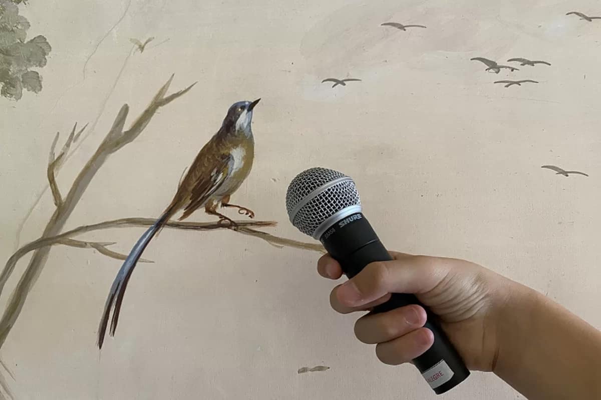 O Domingo é na Quinta