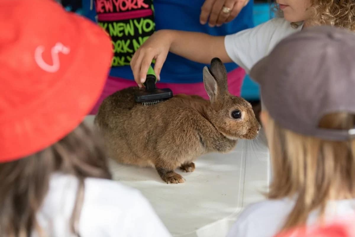 Outubro na Quinta Pedagógica dos Olivais