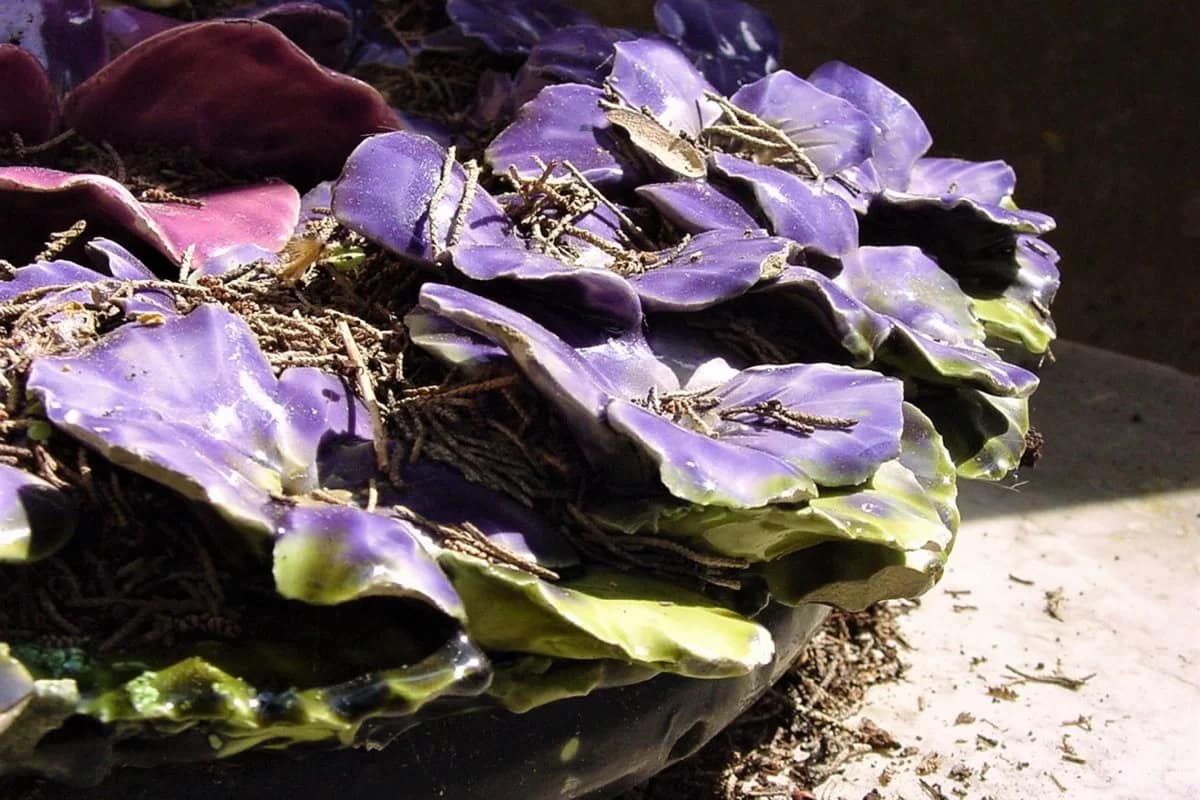 Semana Cultural nos CemitĂ©rios â Oficinas vitais sobre assuntos fatais: entrevista um esqueleto