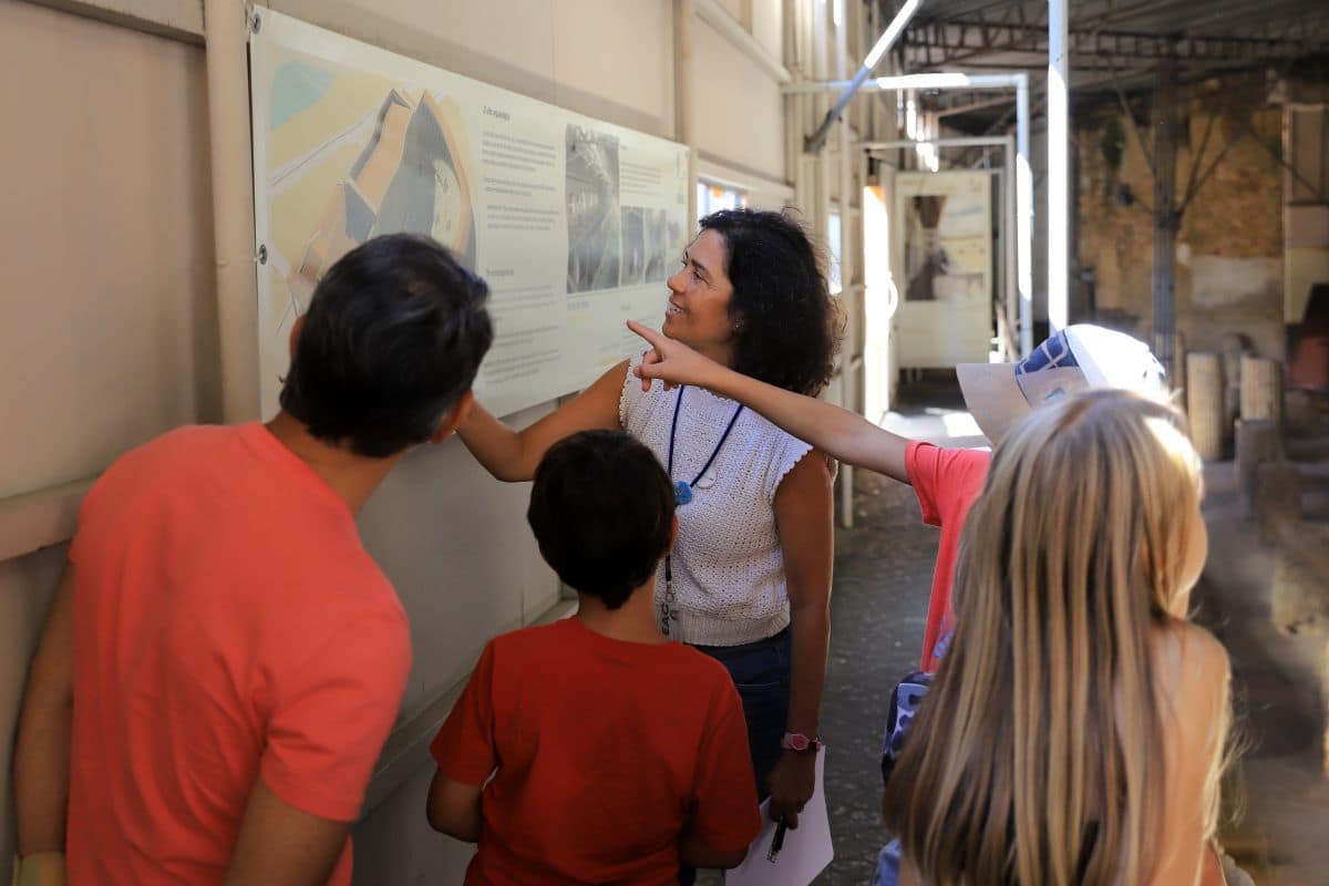 Um teatro com quatro vidas