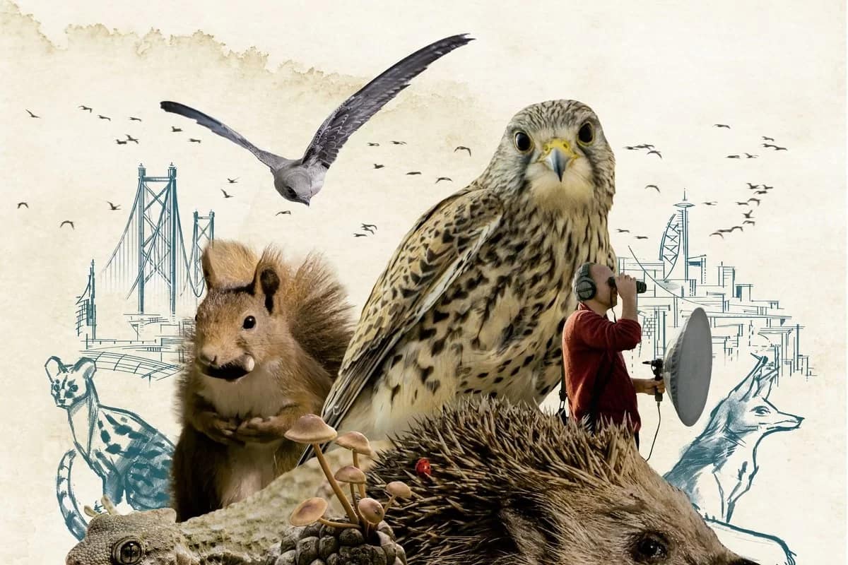 Vamos mover águas com um filme?