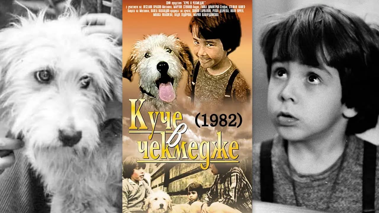 KUCHE v CHEKMEDZHE | Um CĂŁo na Gaveta