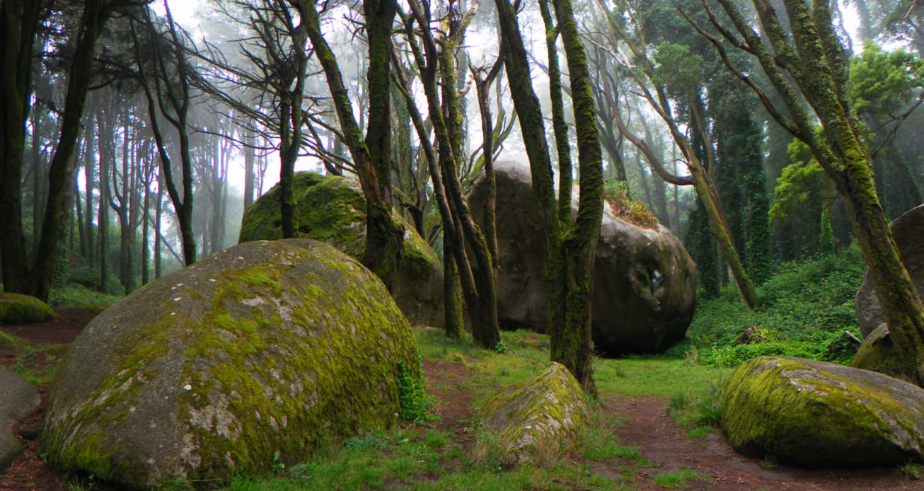Caminhada em famĂlia â Bosque do SilĂȘncio