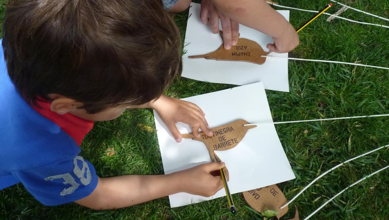 Jardim de Verão 2025 – Aves, insetos, peixes, plantas: Fábrica de biodiversidade