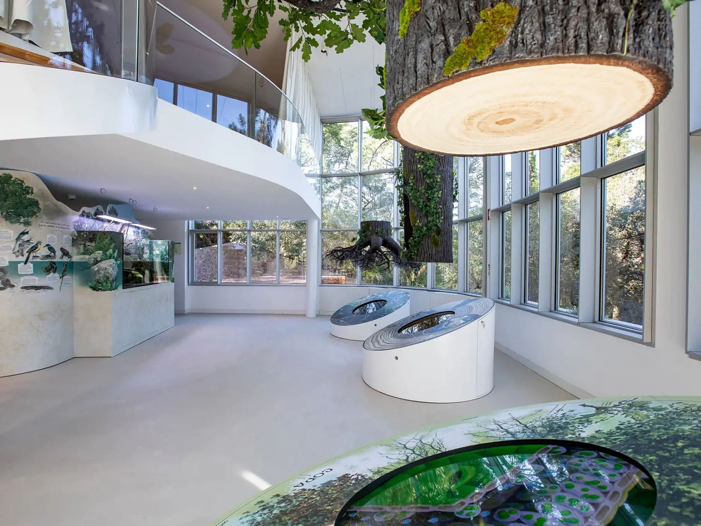 Centro de Interpretação da Natureza (Monserrate)