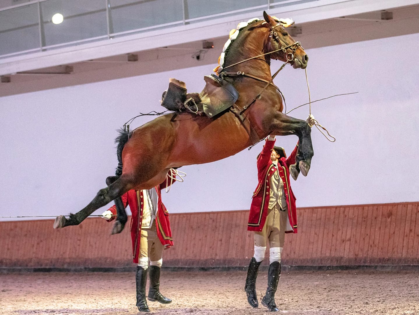 Gala de Ano Novo da Escola Portuguesa de Arte Equestre