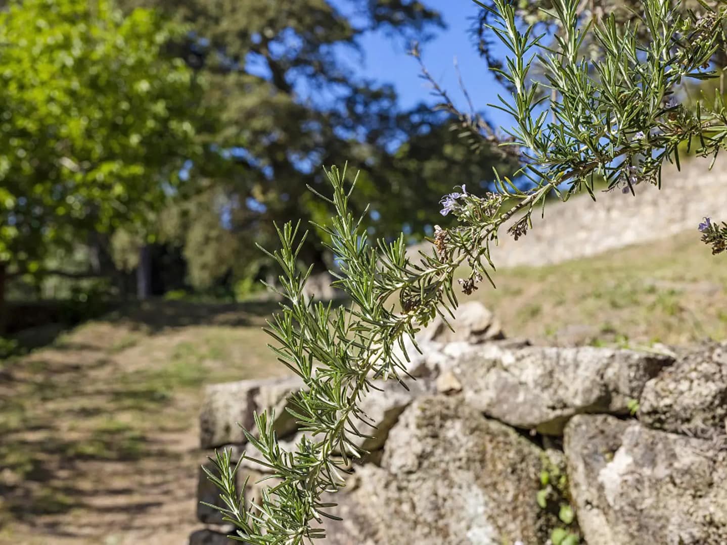 Oficina de Primavera – Crie a sua Mini Horta