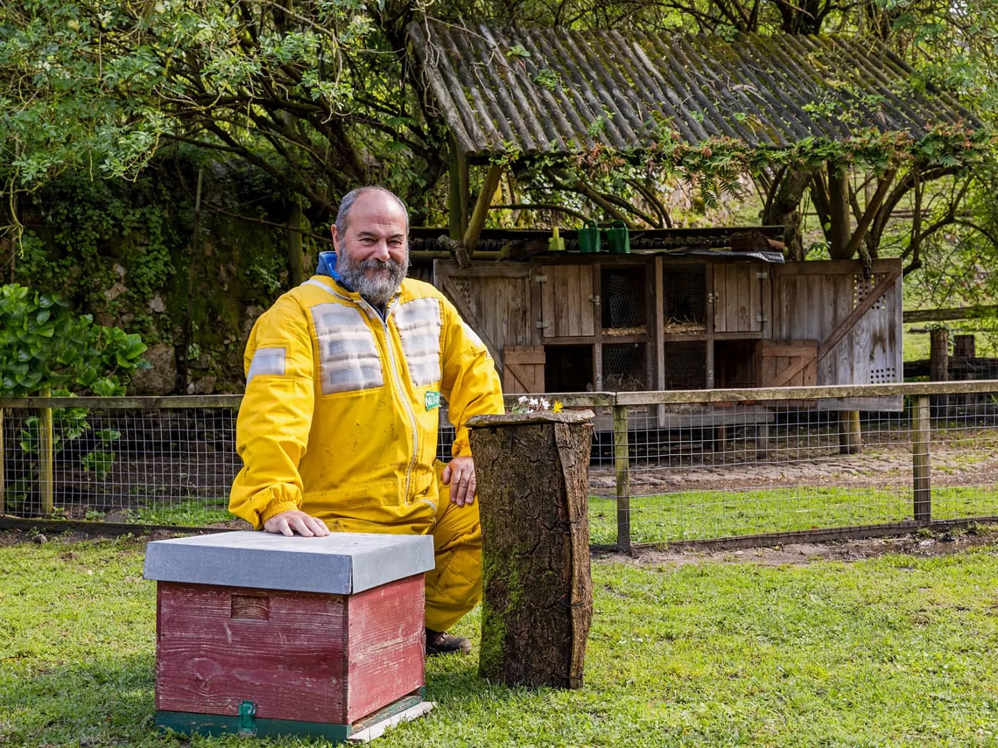 Um dia quero ser apicultor
