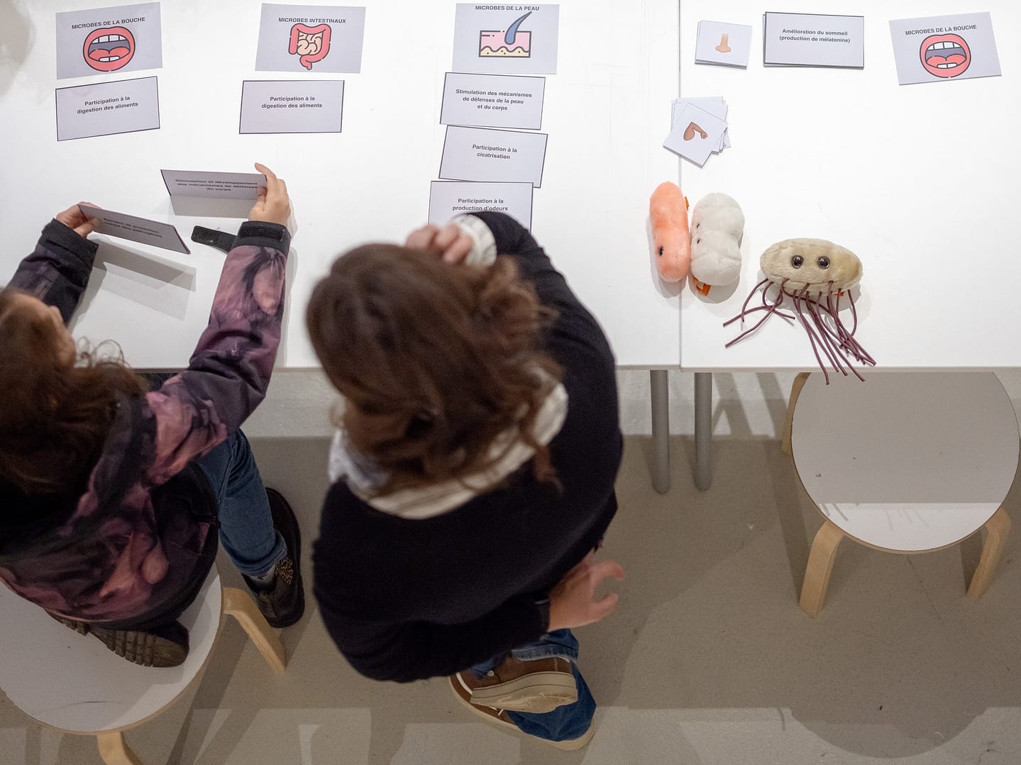 Planète Microbes – Atelier 9-12 ans