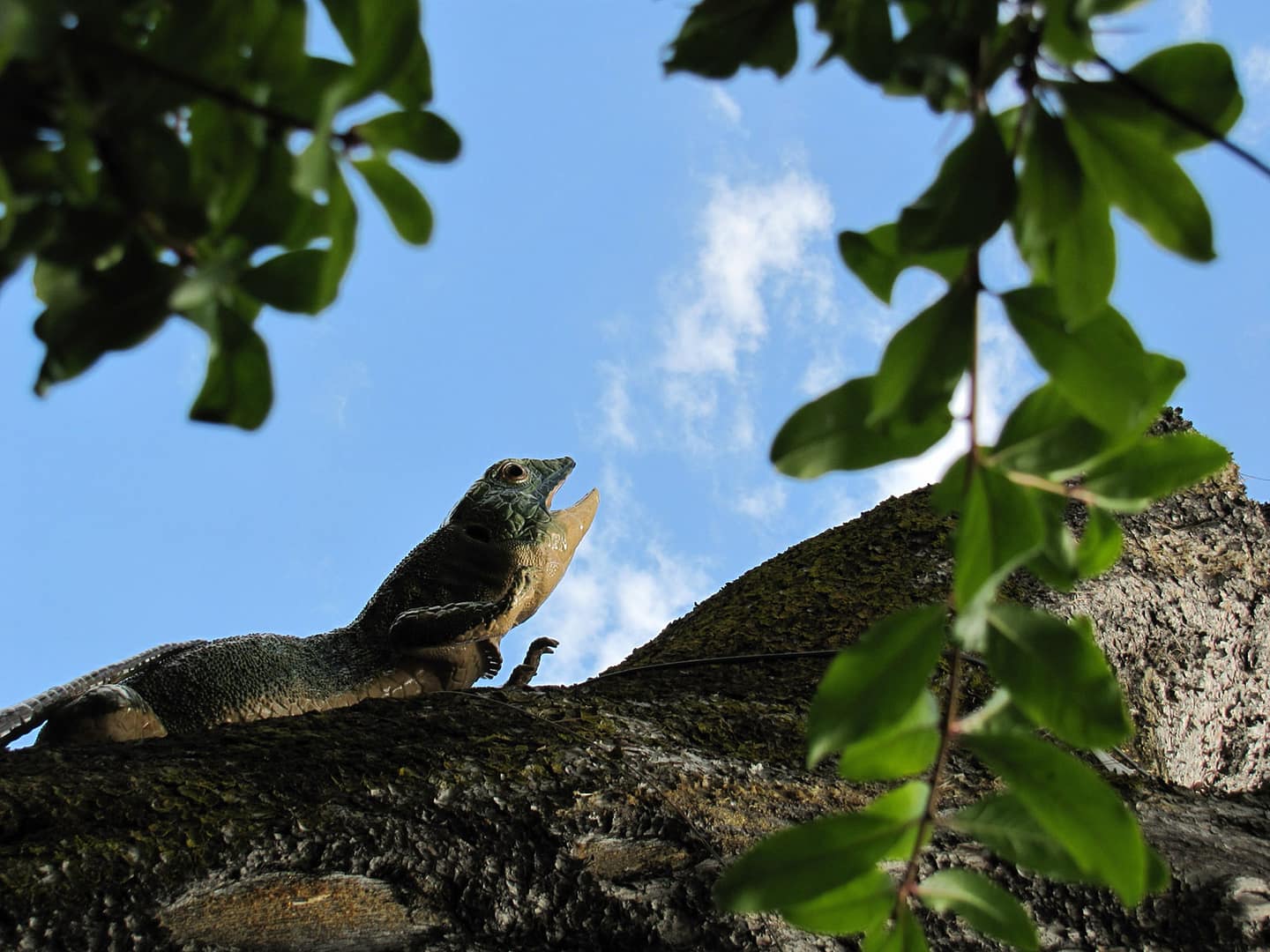 Um jardim sustentável
