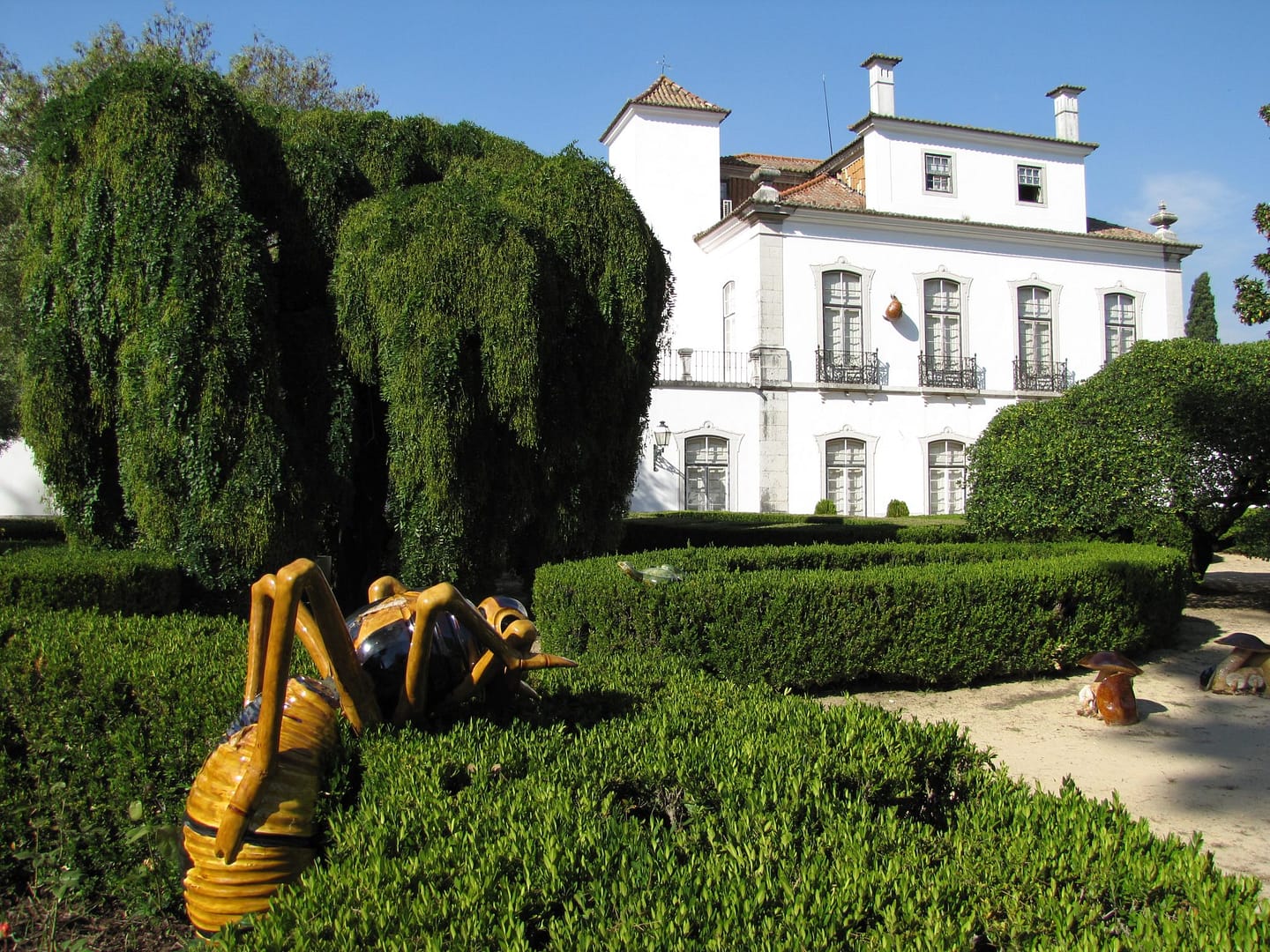 À descoberta dos polinizadores do jardim