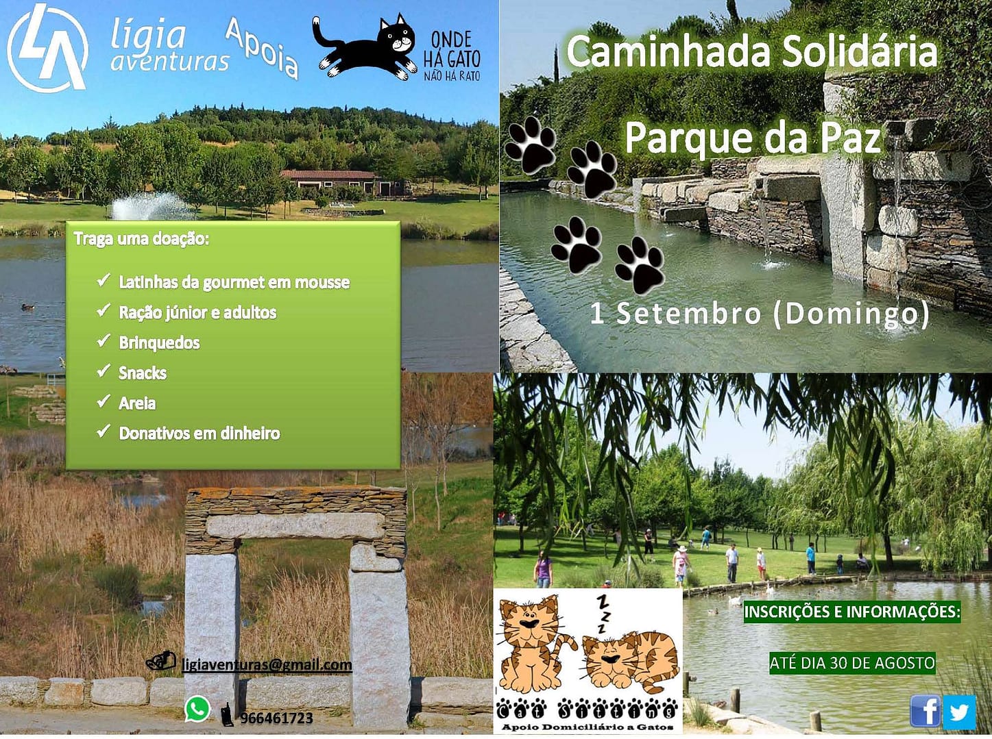 Caminhada Solidária Onde há gato não há rato