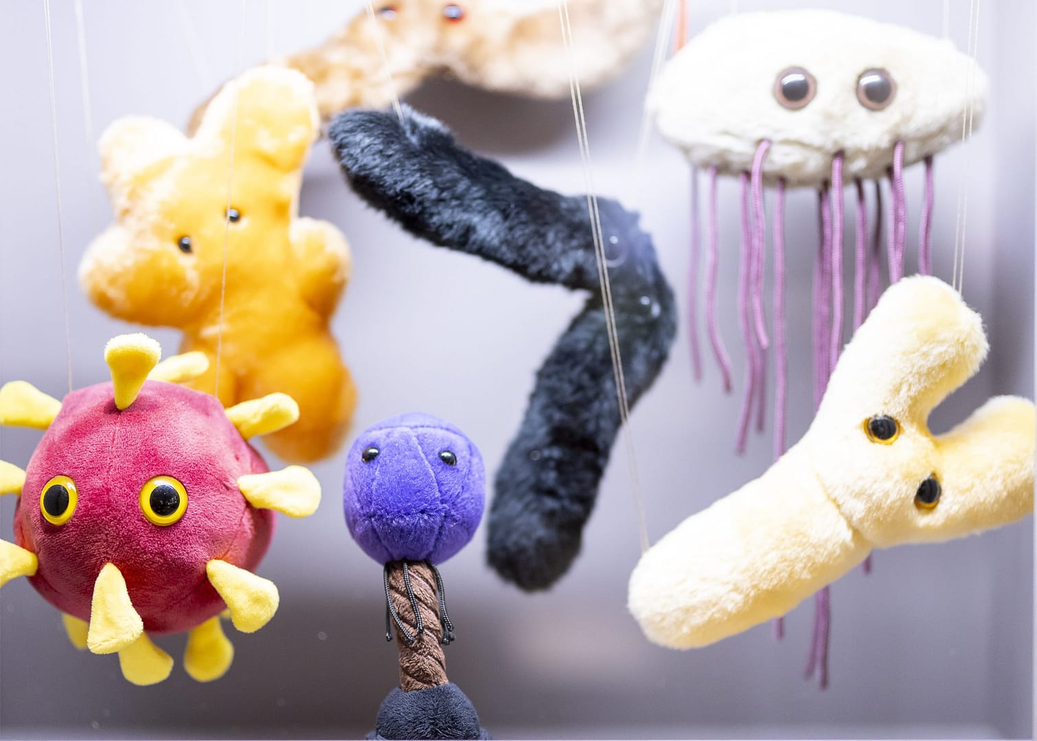 Dans l'univers des microbes (6-10 ans) – Atelier en famille