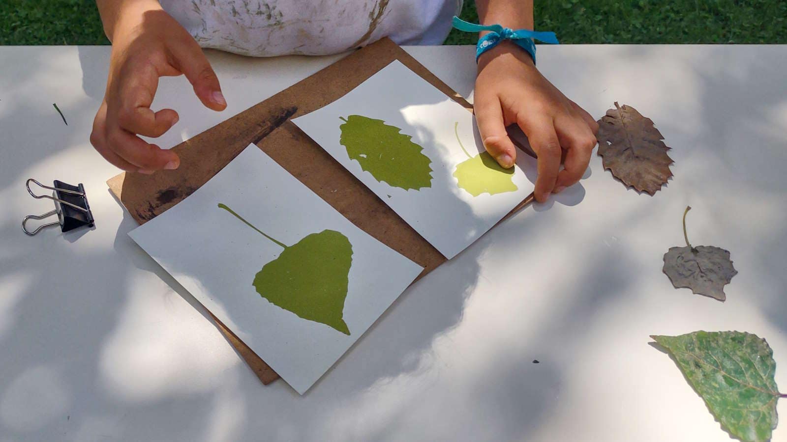 A natureza a fotografar