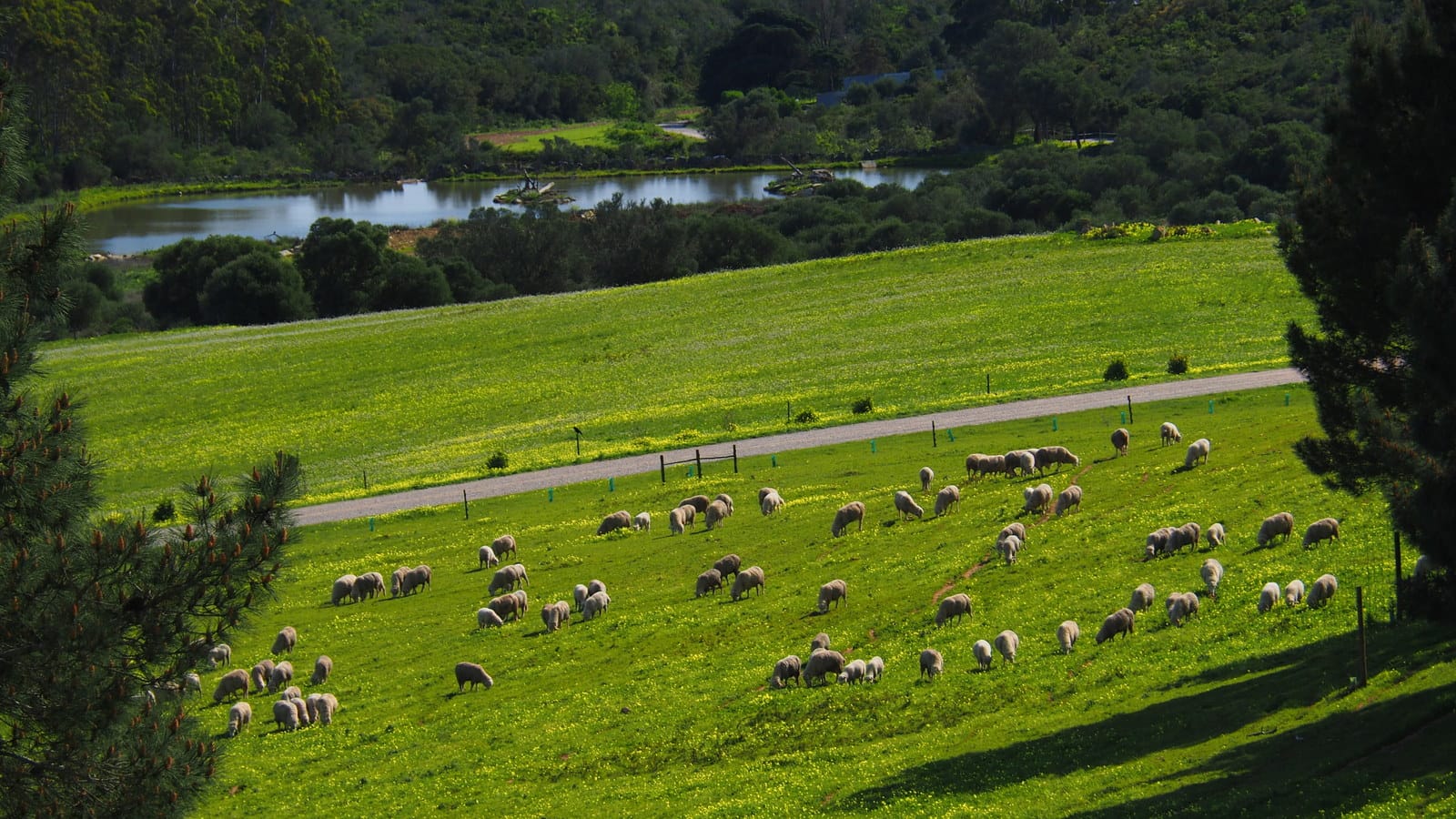 Caminhada em Família na Serra de Sintra