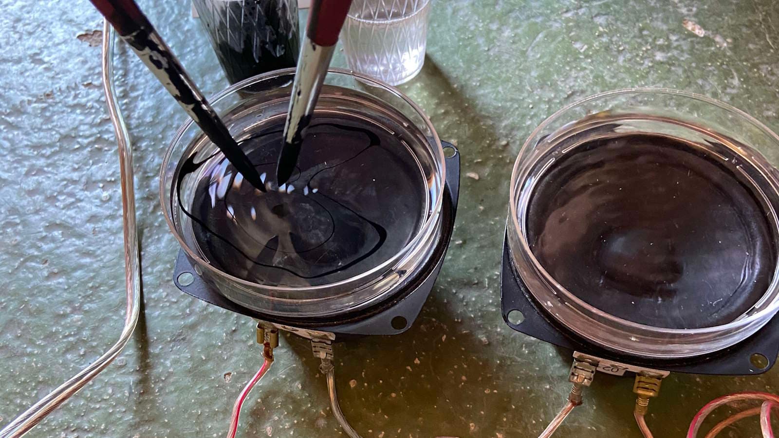 Ecotones – Sons que pintam a superfĂcie da água