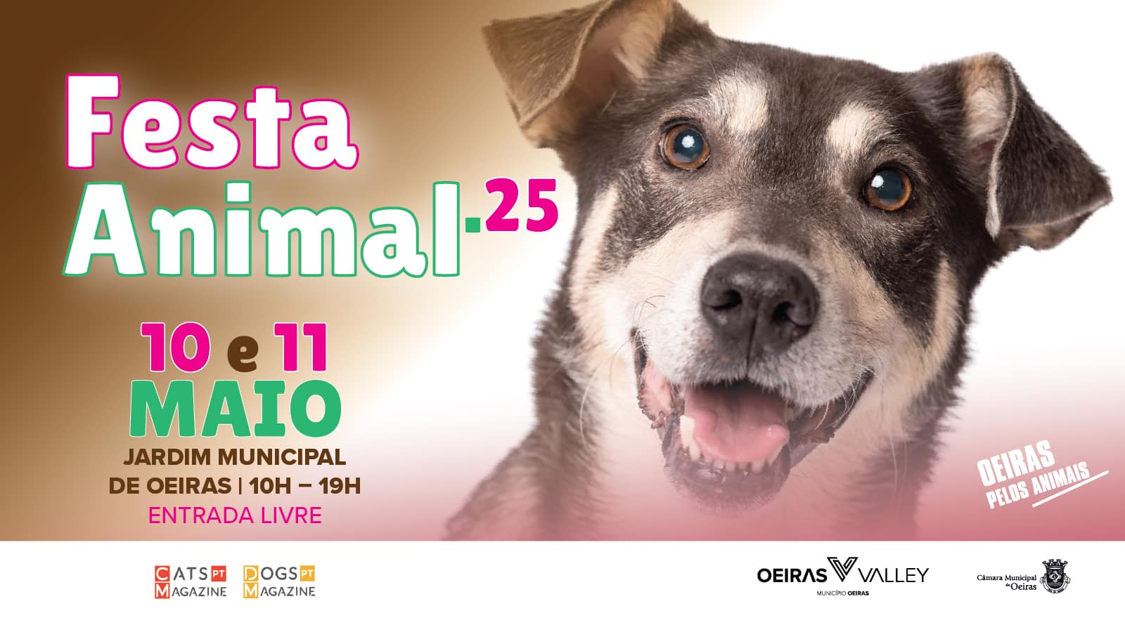 Festa Animal 2025