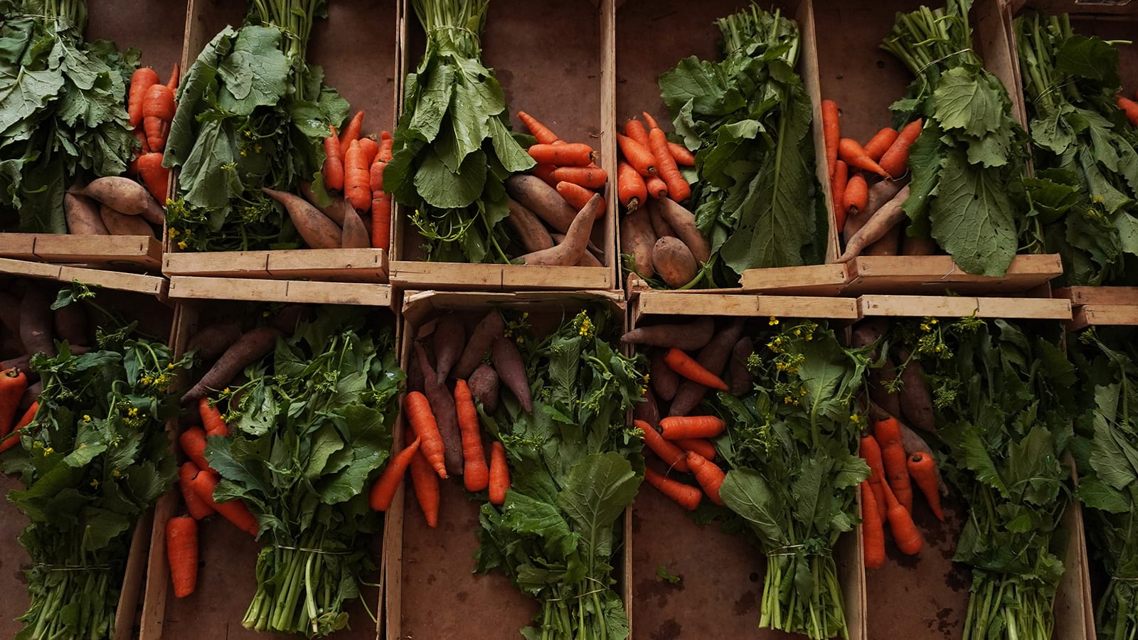 Paisagens Alimentares – Visita e oficina