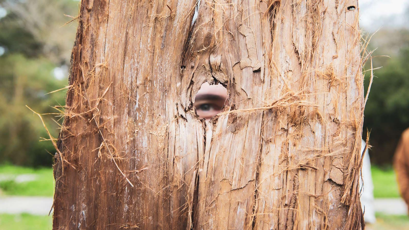 Residência aberta Curupira – Ternura Selvagem