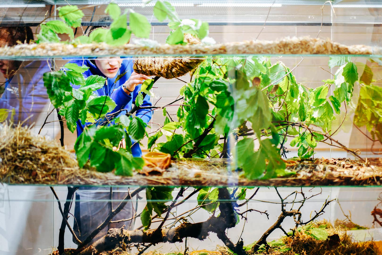 Les coulisses des aquariums – Chimiste en herbe