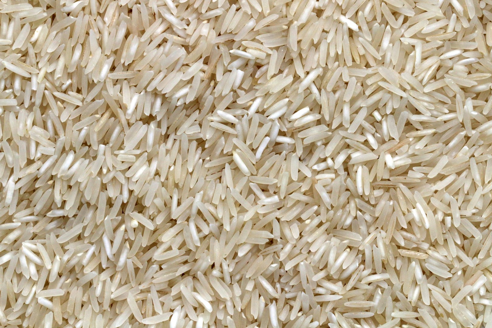 A Cozinha é um laboratório – Em abril... arroz mil