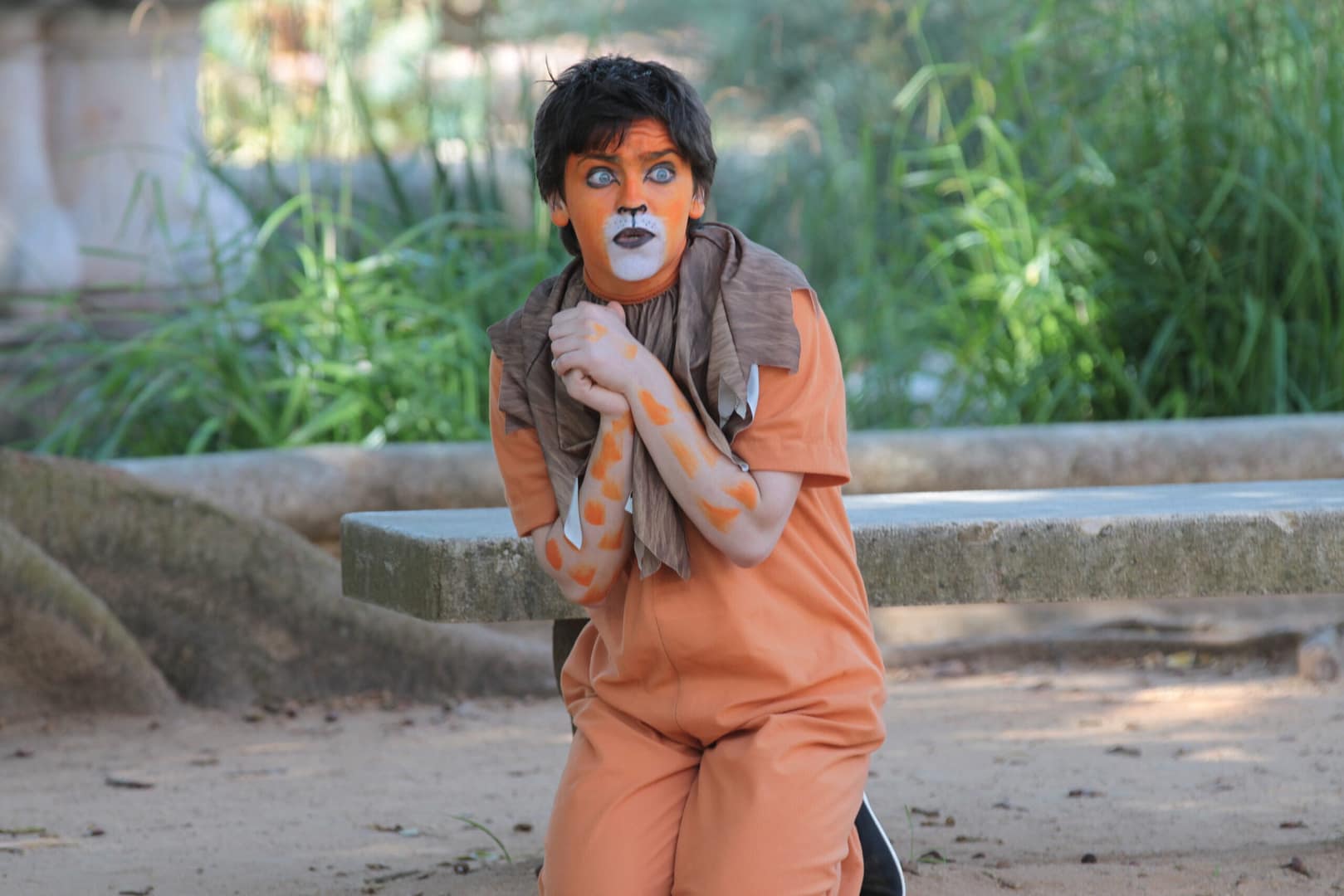 Grupo de Teatro Infantil Animarte – O Feiticeiro de Oz