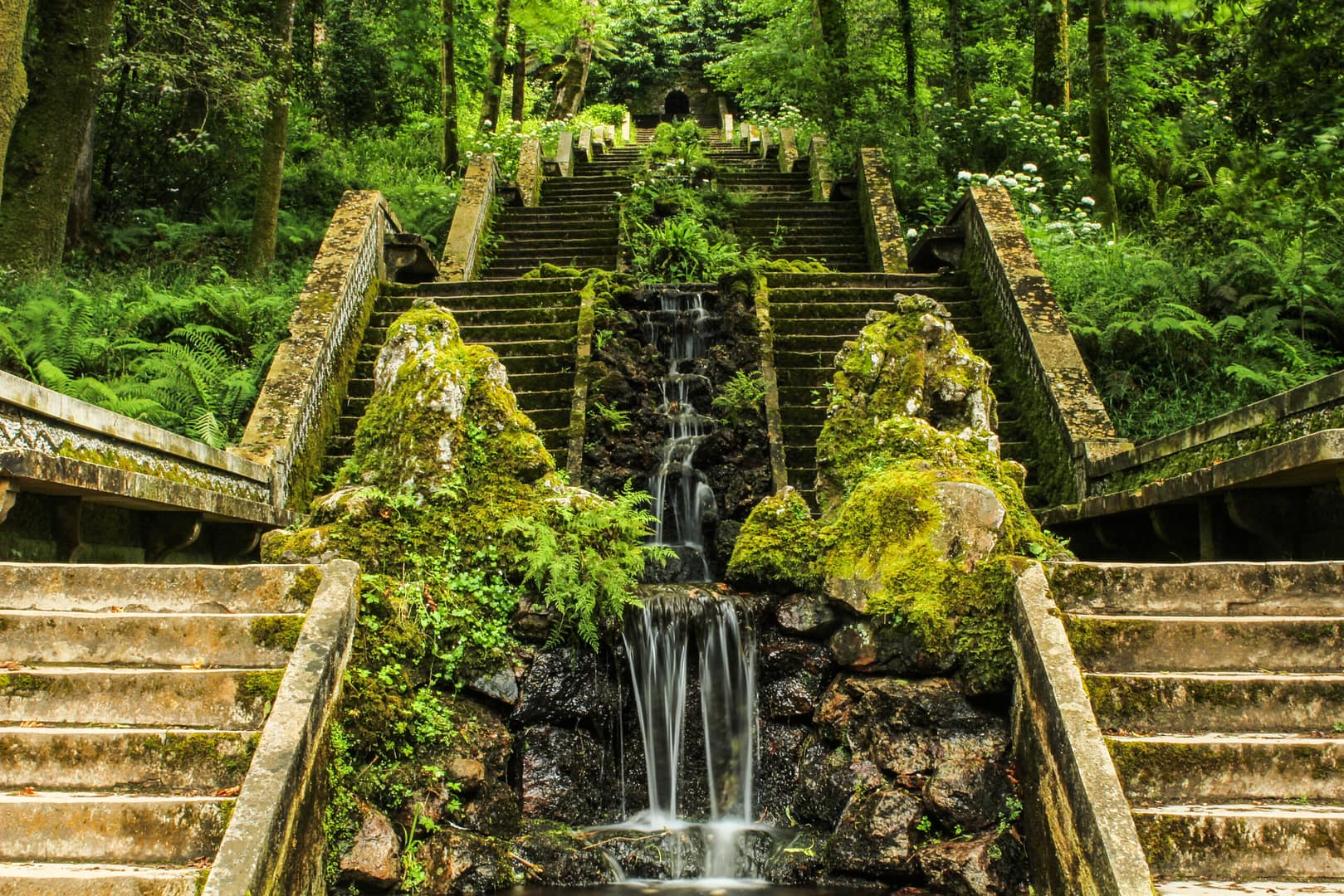 Mata Nacional do Bussaco (Luso)