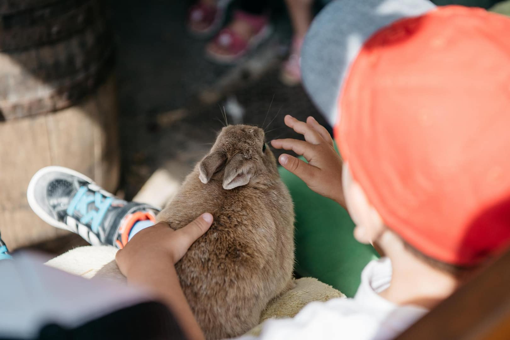 Petit Train Ă  la ferme aux Cretegny