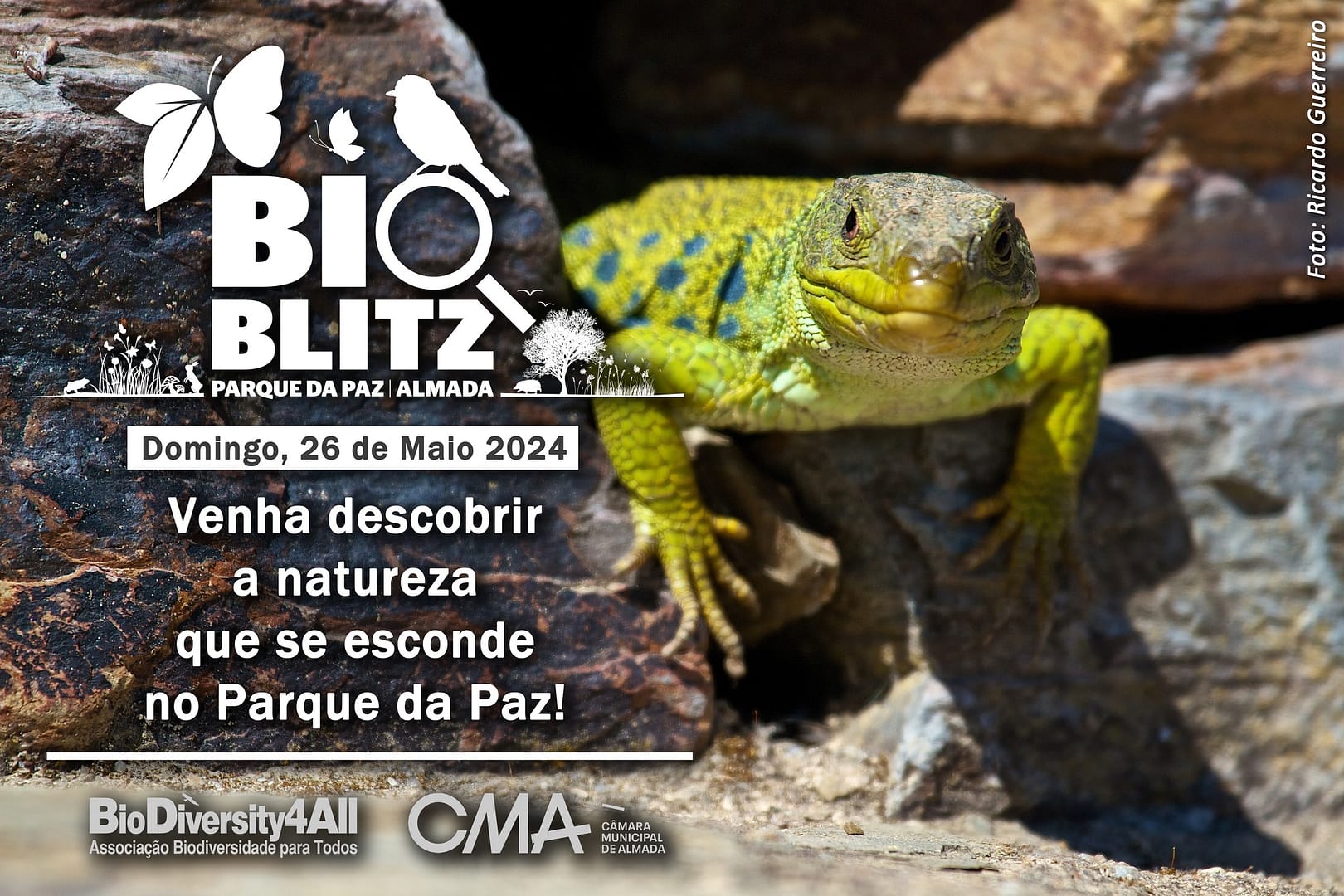 BioBlitz Parque da Paz 2024