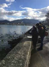 Sortie Nature – Oiseaux hivernants