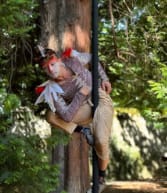 Vive le cirque! – Atelier circassien avec la Cie Mûes