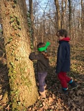 Sortie Nature – Mon ami l'arbre