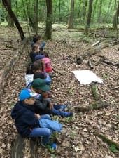 Sortie Nature â Animaux de nos forĂȘts