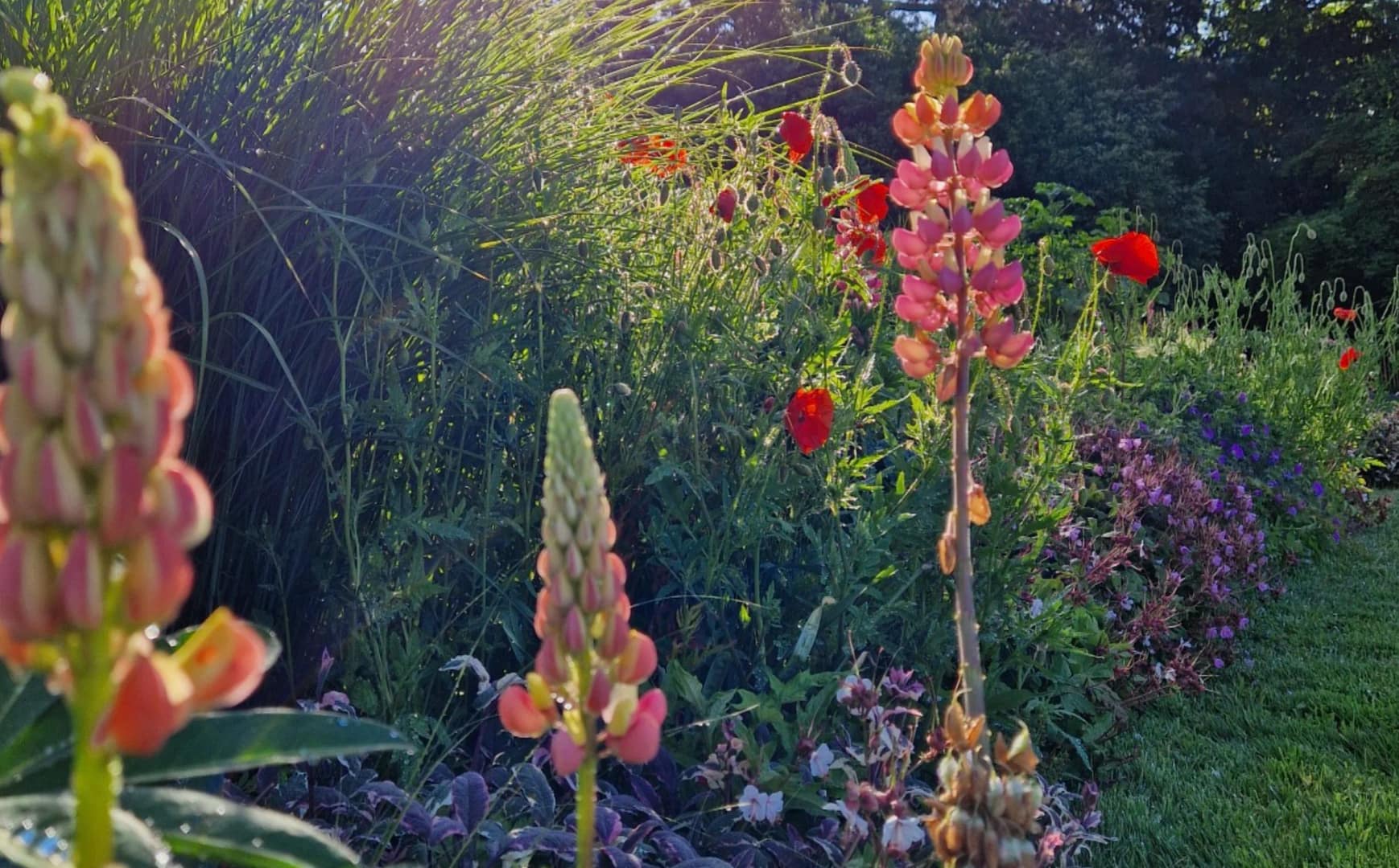 Visite gourmande – Déjeuner sur l’herbe