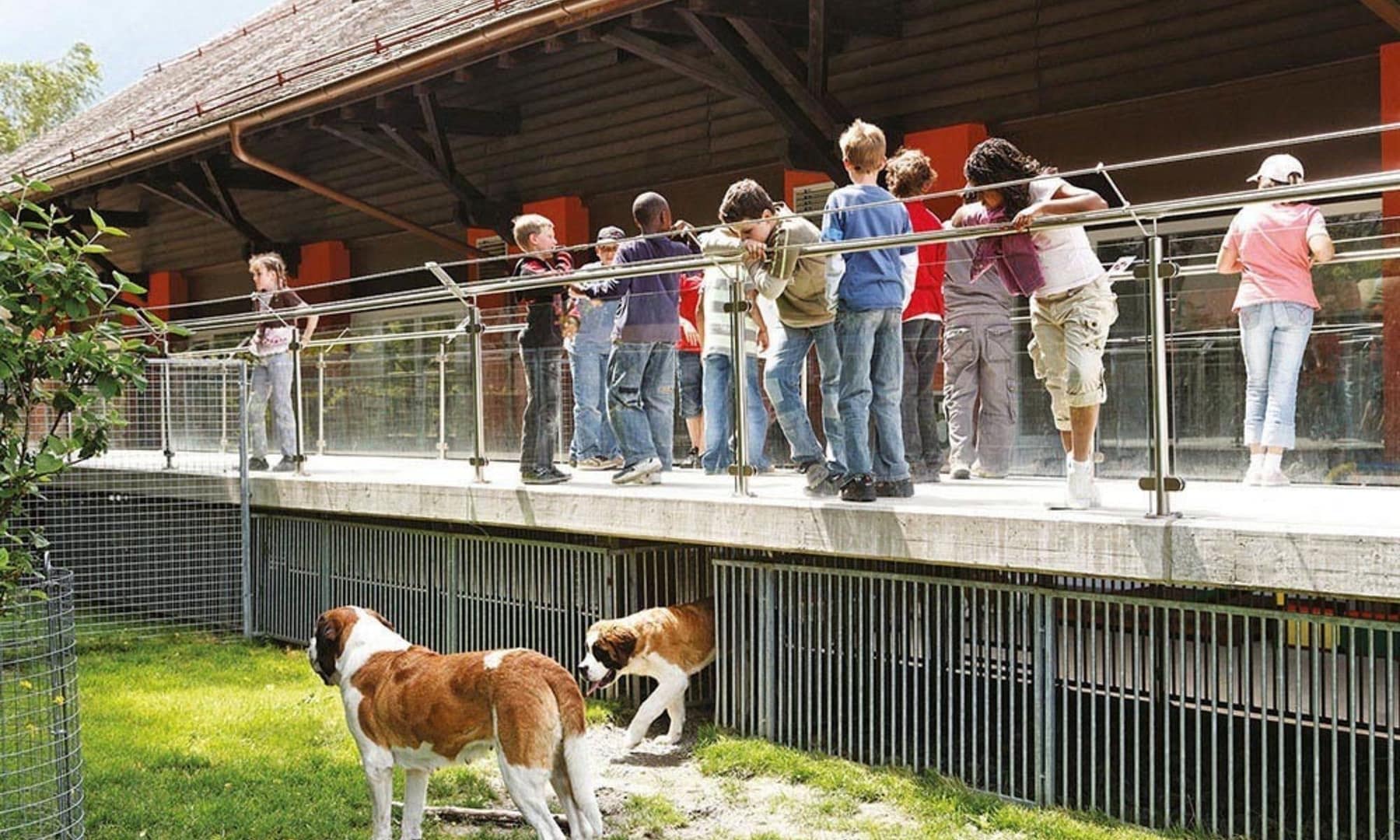 Barryland – Musée et Chiens du Saint-Bernard (Martigny)