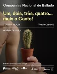 Um, dois, três, quatro... mais o Cacto!