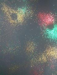 Tapete encantado: Luzinhas de Natal – Oficina para bebés