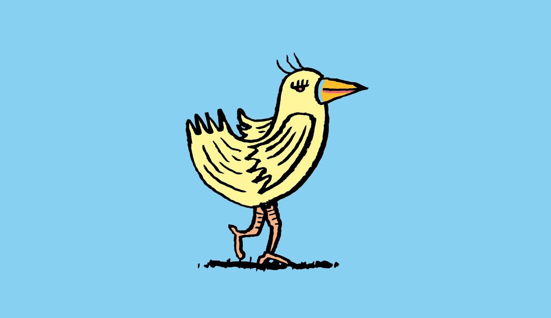 Un dimanche parmi les oiseaux – Dimanche en famille